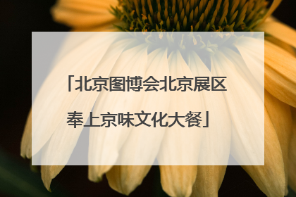 北京图博会北京展区奉上京味文化大餐