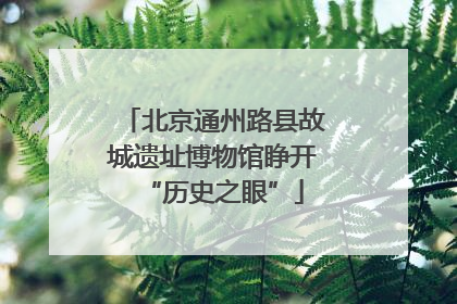 北京通州路县故城遗址博物馆睁开“历史之眼”