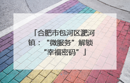 合肥市包河区淝河镇：“微服务”解锁“幸福密码”