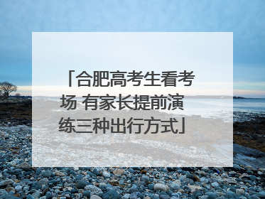 合肥高考生看考场 有家长提前演练三种出行方式