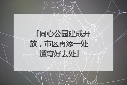 同心公园建成开放，市区再添一处遛弯好去处