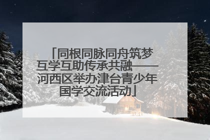 同根同脉同舟筑梦 互学互助传承共融——河西区举办津台青少年国学交流活动