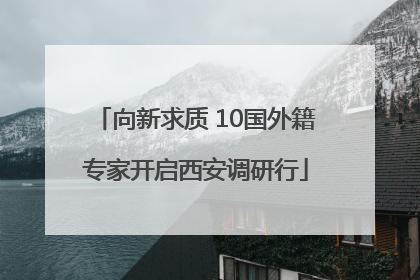 向新求质 10国外籍专家开启西安调研行