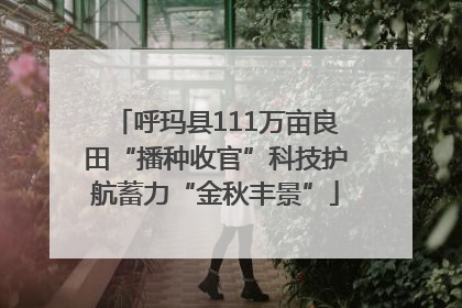 呼玛县111万亩良田“播种收官”科技护航蓄力“金秋丰景”