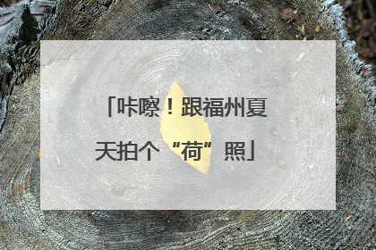 咔嚓！跟福州夏天拍个“荷”照