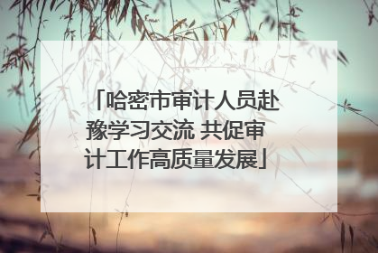 哈密市审计人员赴豫学习交流 共促审计工作高质量发展
