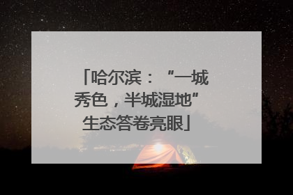 哈尔滨：“一城秀色，半城湿地”生态答卷亮眼