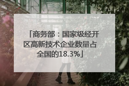 商务部：国家级经开区高新技术企业数量占全国的18.3%