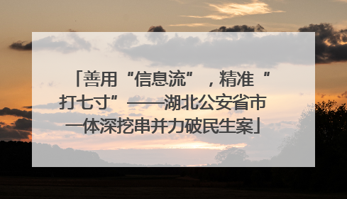 善用“信息流”，精准“打七寸”——湖北公安省市一体深挖串并力破民生案