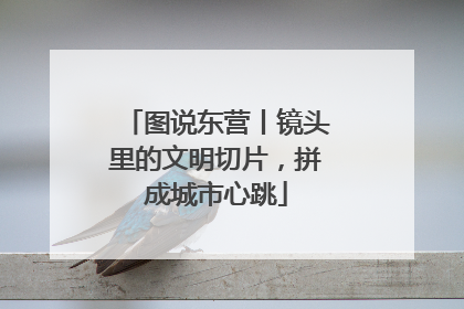 图说东营丨镜头里的文明切片，拼成城市心跳