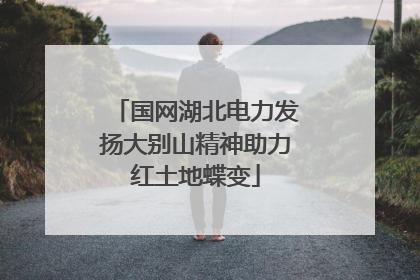 国网湖北电力发扬大别山精神助力红土地蝶变