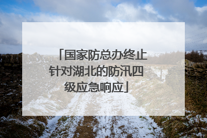 国家防总办终止针对湖北的防汛四级应急响应