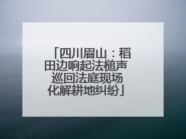 四川眉山：稻田边响起法槌声 巡回法庭现场化解耕地纠纷