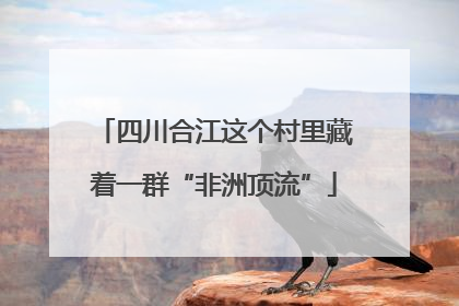 四川合江这个村里藏着一群“非洲顶流”