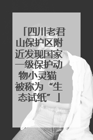 四川老君山保护区附近发现国家一级保护动物小灵猫 被称为“生态试纸”
