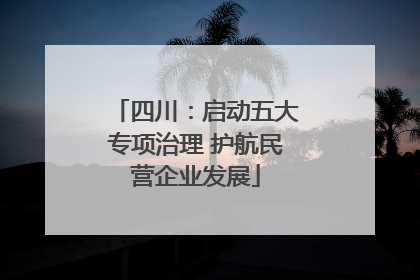 四川：启动五大专项治理 护航民营企业发展