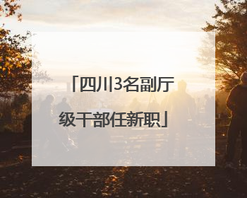 四川3名副厅级干部任新职