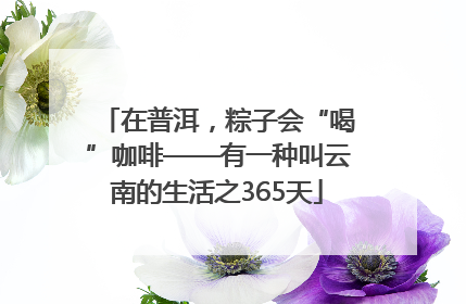 在普洱，粽子会“喝”咖啡——有一种叫云南的生活之365天