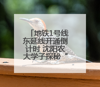 地铁1号线东延线开通倒计时 沈阳农大学子探秘“新线”