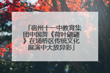 宿州十一中教育集团中国舞《荷叶翩翩》在埇桥区传统文化展演中大放异彩