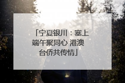 宁夏银川：塞上端午聚同心 港澳台侨共传情