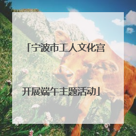 宁波市工人文化宫开展端午主题活动