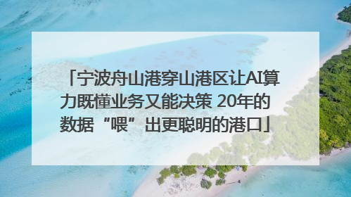 宁波舟山港穿山港区让AI算力既懂业务又能决策 20年的数据“喂”出更聪明的港口