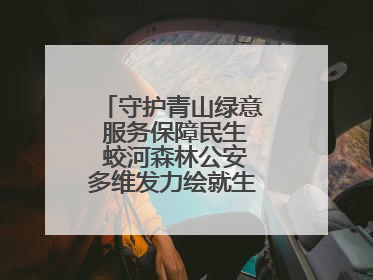 守护青山绿意 服务保障民生 蛟河森林公安多维发力绘就生态惠民新画卷