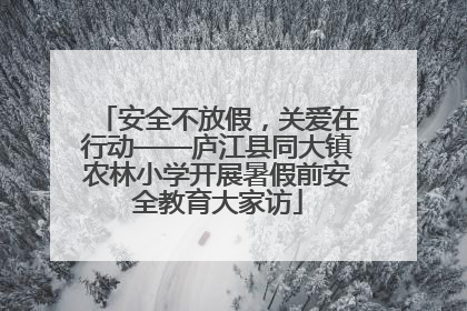 安全不放假，关爱在行动——庐江县同大镇农林小学开展暑假前安全教育大家访
