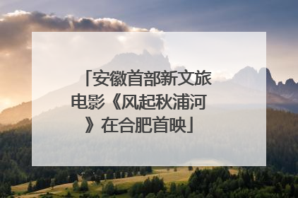 安徽首部新文旅电影《风起秋浦河》在合肥首映