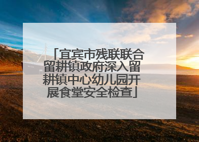 宜宾市残联联合留耕镇政府深入留耕镇中心幼儿园开展食堂安全检查