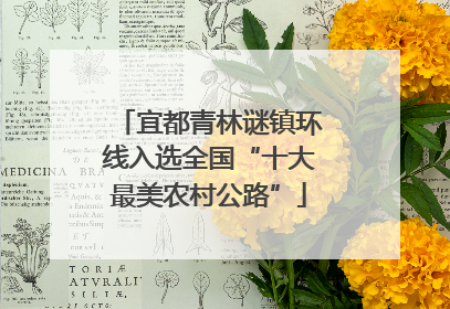 宜都青林谜镇环线入选全国“十大最美农村公路”