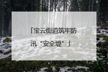 宝云街道筑牢防汛“安全堤”
