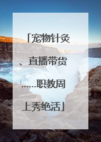 宠物针灸、直播带货……职教周上秀绝活