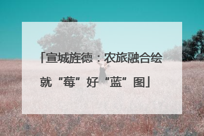 宣城旌德：农旅融合绘就“莓”好“蓝”图
