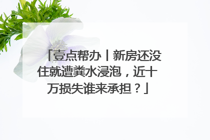 壹点帮办丨新房还没住就遭粪水浸泡，近十万损失谁来承担？