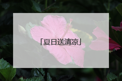 夏日送清凉
