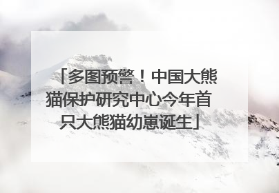 多图预警！中国大熊猫保护研究中心今年首只大熊猫幼崽诞生