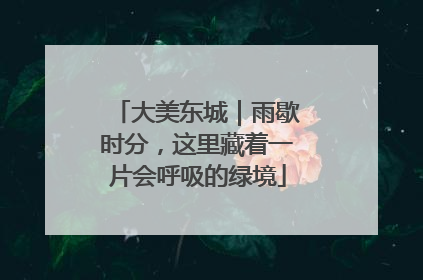 大美东城｜雨歇时分，这里藏着一片会呼吸的绿境