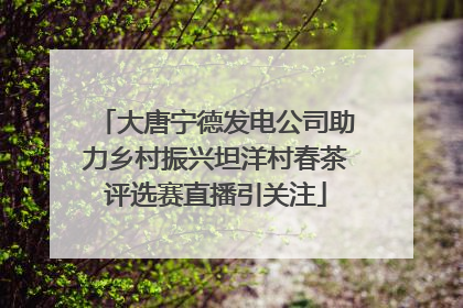 大唐宁德发电公司助力乡村振兴坦洋村春茶评选赛直播引关注