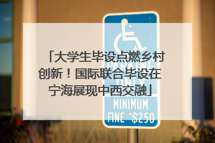 大学生毕设点燃乡村创新！国际联合毕设在宁海展现中西交融