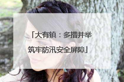 大有镇：多措并举筑牢防汛安全屏障