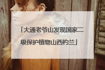 大通老爷山发现国家二级保护植物山西杓兰