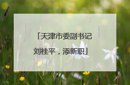 天津市委副书记刘桂平，添新职