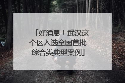 好消息！武汉这个区入选全国首批综合类典型案例
