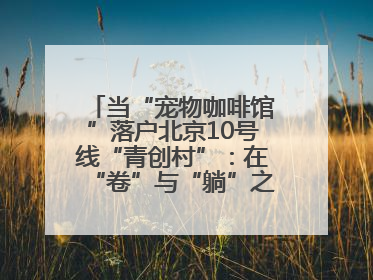 当“宠物咖啡馆”落户北京10号线“青创村”：在“卷”与“躺”之间，他们找到了第三种生活公式