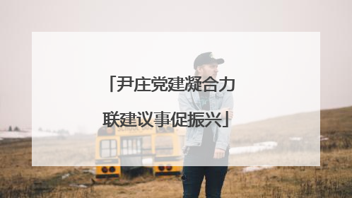 尹庄党建凝合力 联建议事促振兴