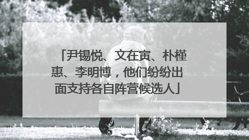 尹锡悦、文在寅、朴槿惠、李明博，他们纷纷出面支持各自阵营候选人