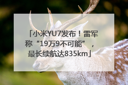 小米YU7发布！雷军称“19万9不可能”，最长续航达835km