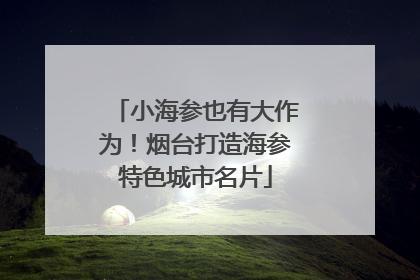 小海参也有大作为！烟台打造海参特色城市名片